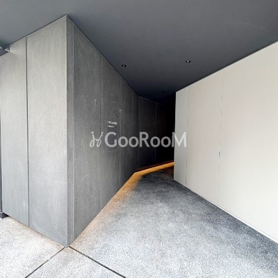 
						ルミークスイート麻布十番 エントランス2