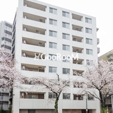 クレアティフ中野