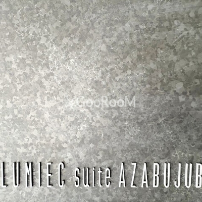 
						ルミークスイート麻布十番 物件名