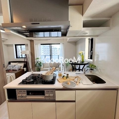 
						ワンルーフレジデンス錦糸町 写真23