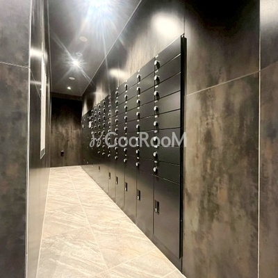 
						コンフォリア・リヴ文京護国寺 郵便受け