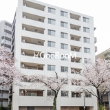 クレアティフ中野