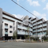 JPノイエ等々力